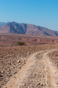 中东 轨道在沙漠景观，Dana 生物圈保护区，包括不同的生物地理区，熔炉的物种从欧洲 非洲和亚洲的约旦唯一储备