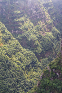 峡谷岩石和森林