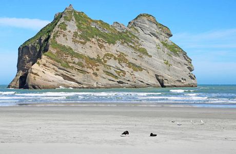 Wharariki 的岩层，