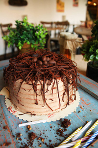 巧克力蛋糕，顶上，与绿色的植物，在巧克力蛋