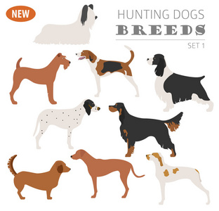 狩猎犬品种设置图标上白色孤立。平面样式