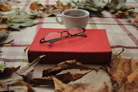 享受与一本书和一杯咖啡一次野餐