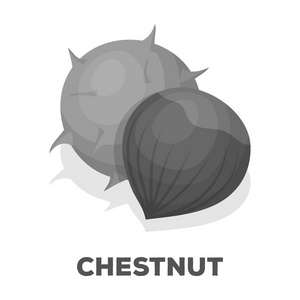 Chestnut.Different 各种坚果单单色风格矢量符号股票图中的图标