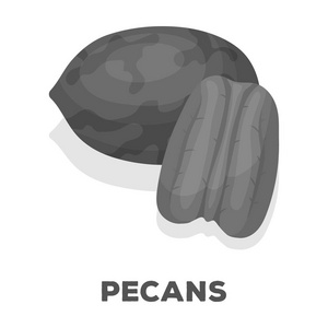 Pecans.Different 各种坚果单单色风格矢量符号股票图中的图标