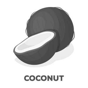 Coconat.Different 各种坚果单单色风格矢量符号股票图中的图标