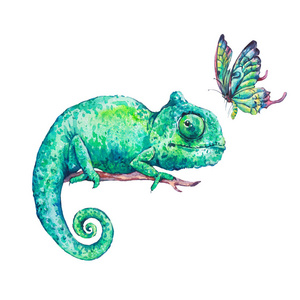 龙蝴蝶图片-龙蝴蝶素材-龙蝴蝶插画-摄图新视界