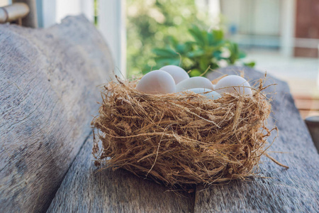 白色复活节蛋在巢
