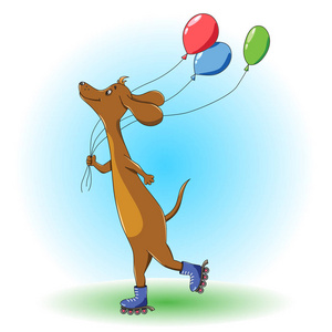 长腊肠狗在夏天乘坐气球滚子