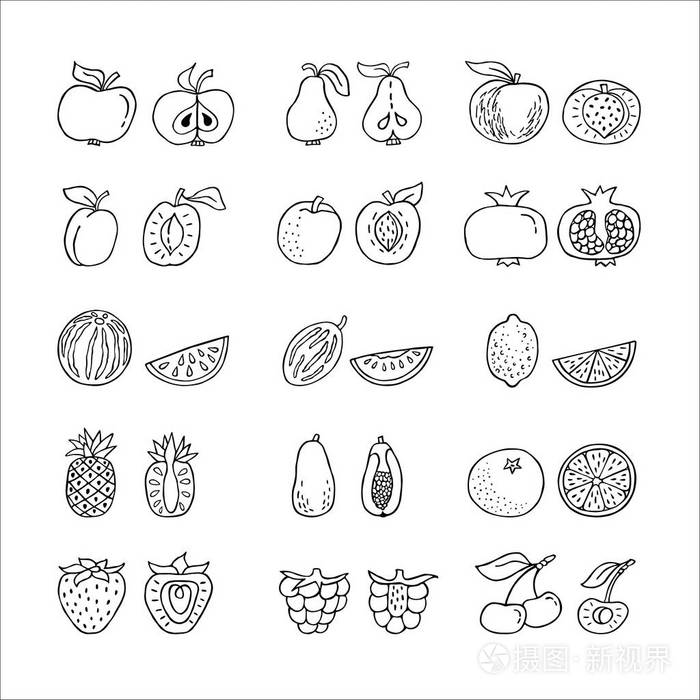 水果的手绘制的图标设置线条样式插画-正版商用图片0y4l7m-摄图新视界