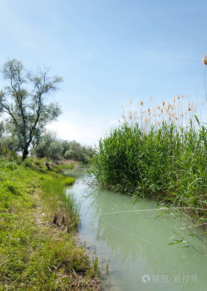 草原河芦苇夏季河景中的景色晴天的蓝色小河
