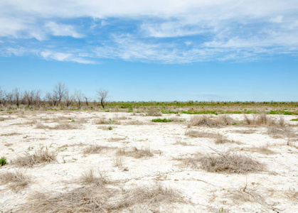 沙漠的盐渍土,盐湖.没有生命的焦土.哈萨克斯坦裸草原照片