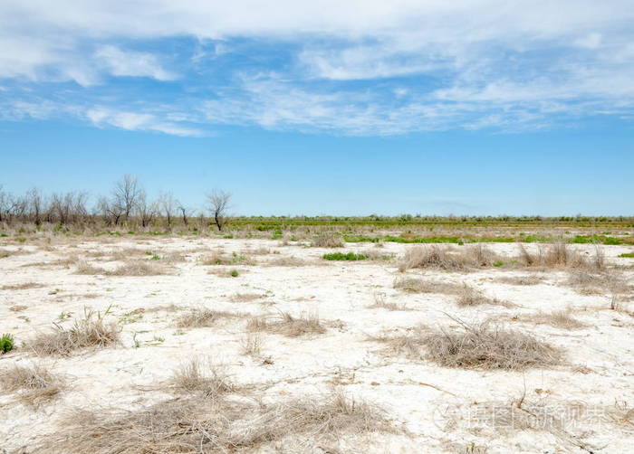 草原盐渍土盐中的盐水草原草原蔬菜沙漠的盐渍土盐湖没有生命的焦土哈
