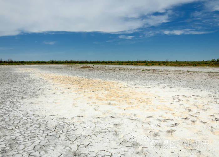 草原盐渍土.盐中的盐水.草原草原蔬菜.沙漠的盐渍土,盐湖.