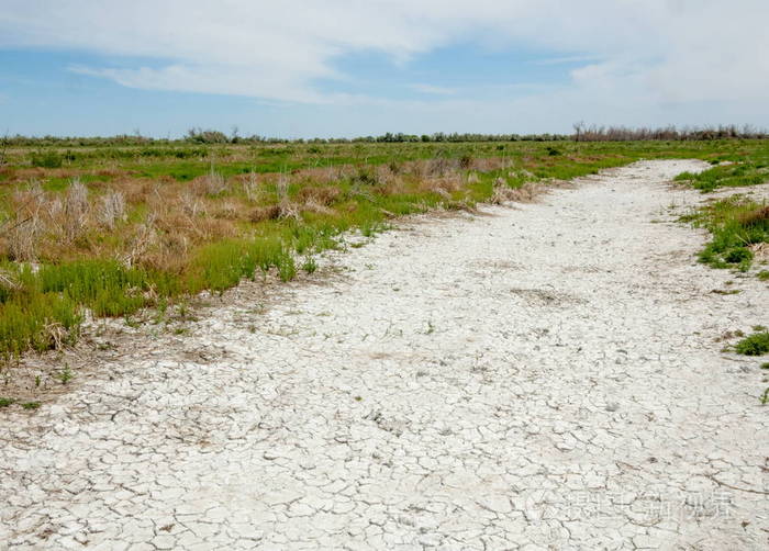 盐中的盐水.草原草原蔬菜.沙漠的盐渍土,盐湖.没有生命的焦土.