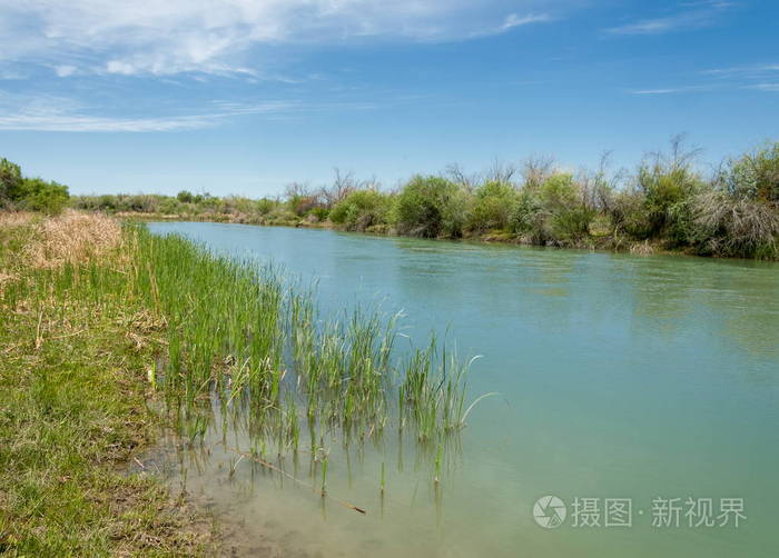 草原河芦苇夏季河景中的景色晴天的蓝色小河