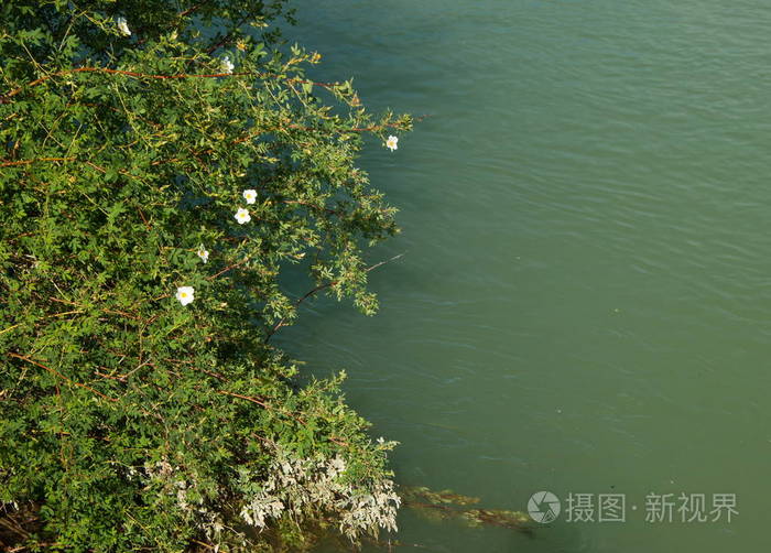 晴天的蓝色小河