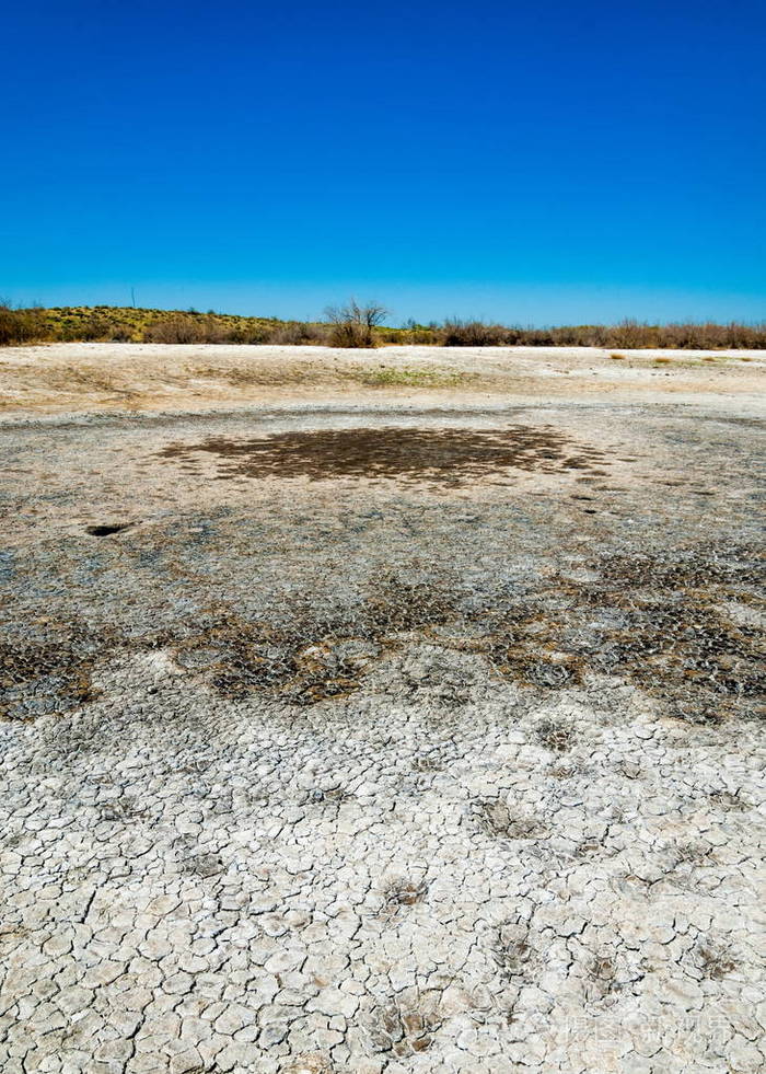 盐水盐沼伊多沙荒地单身灌木哈萨克斯坦