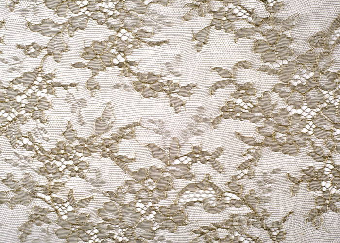 纹理花边一种精细的开口织物通常是由缠绕或编织线在图案中制成的棉花