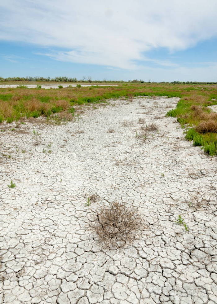 草原盐渍土盐中的盐水草原草原蔬菜沙漠盐湖的盐渍土没有生命的焦土哈