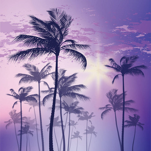 剪影的棕榈树和落日的天空。矢量图
