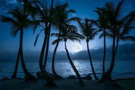 皎洁的月光倒映在平静的水面的热带海滩