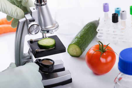 食品质量控制的概念科学家在实验室的显微镜检查黄瓜