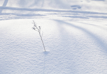 天然的冰和雪纹理图片