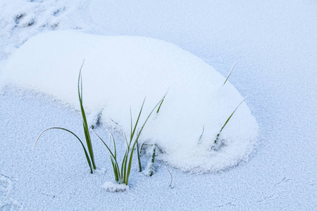 天然的冰和雪纹理