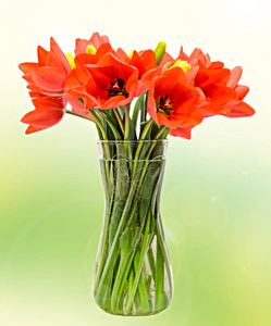红色的郁金香，插花 束，在一个透明的花瓶