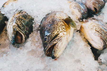 在渔民市场销售的鲜鱼群