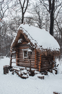 小屋坐落在树林里冬天的雪