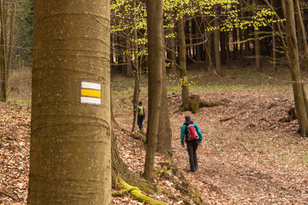 旅游标志在捷克共和国。徒步穿过树林。家庭旅行