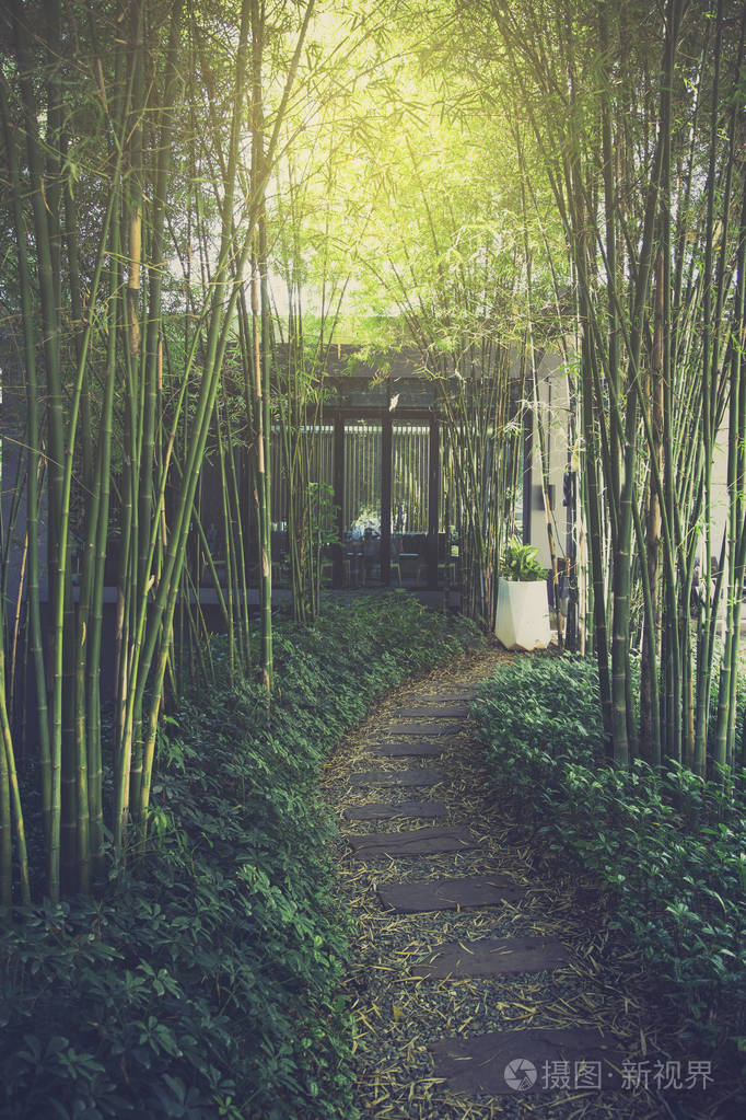 路径与竹花园