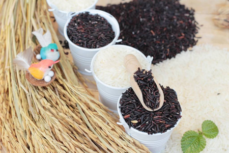 茉莉花米和有机 riceberry 水稻