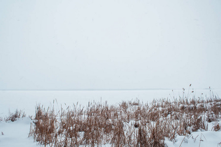 在雪中的冰冻的河流, 从芦苇可以看到海岸的景色照片