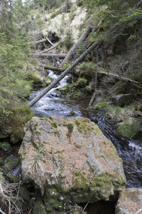 美丽的旷野，春山舒马瓦山南部捷克语