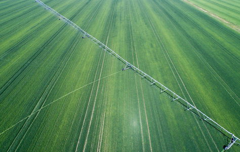 麦田灌溉系统
