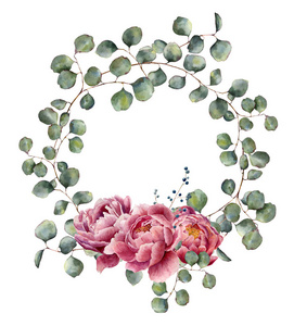 桉树分支与牡丹的水彩花圈。手绘花卉插图与轮叶的银元桉树和粉红色的花朵，白色背景上分离。设计或打印