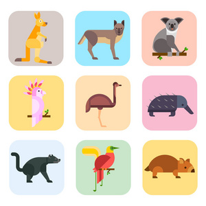 澳大利亚野生动物卡通流行自然字符平面样式和澳大利亚哺乳动物澳洲进口原生森林集合矢量图