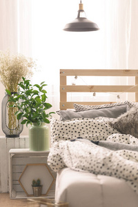 床和卧室里的植物
