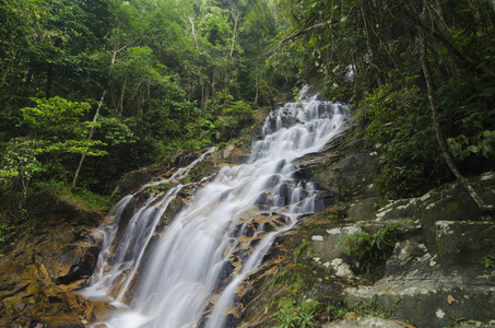 惊人的瀑布热带瀑布流。潮湿的苔藓岩石, 周围是绿色的雨林