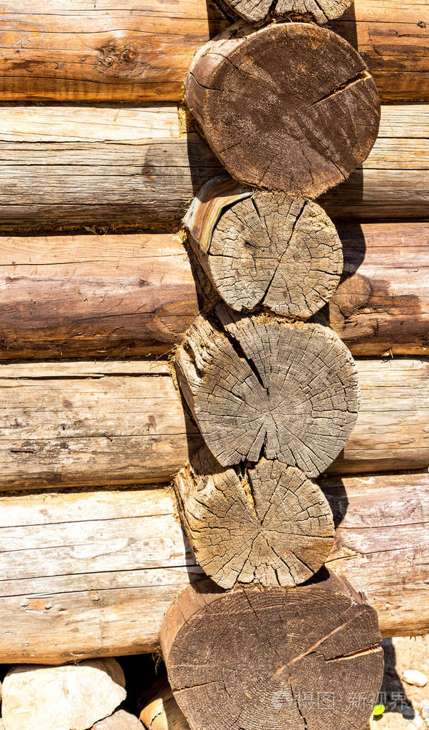 老风化和腐烂的原木末端圆环横断面从木头