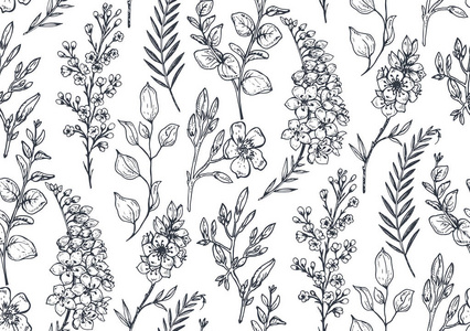 植物花朵装饰画图片-植物花朵装饰画素材-植物花朵装饰画插画-摄图新