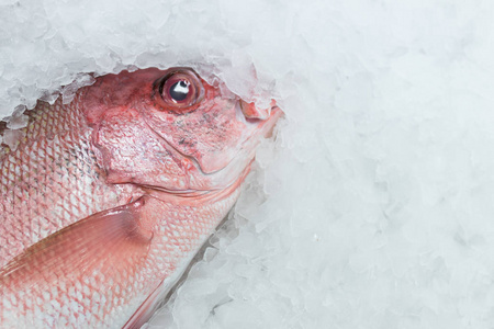 新鲜的鱼，在当地市场上一个热带的巴厘岛，印度尼西亚在这里卖冰上