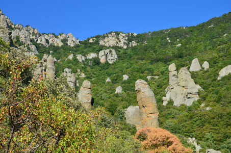 石鬼在克里米亚半岛的山谷