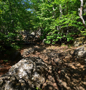 石鬼在克里米亚半岛的山谷