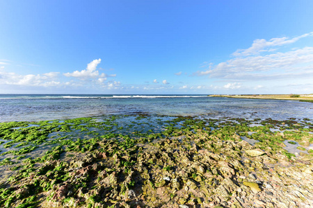 在 Alamar哈瓦那，古巴海滩