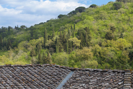 在托斯卡纳的一座绿色山上欣赏风景