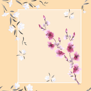 无缝模式幅水彩画的白色和粉红色的花朵，米色背景帧中