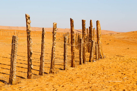 在阿曼老沙漠 rub 鲁卜哈利沙漠空季和户外